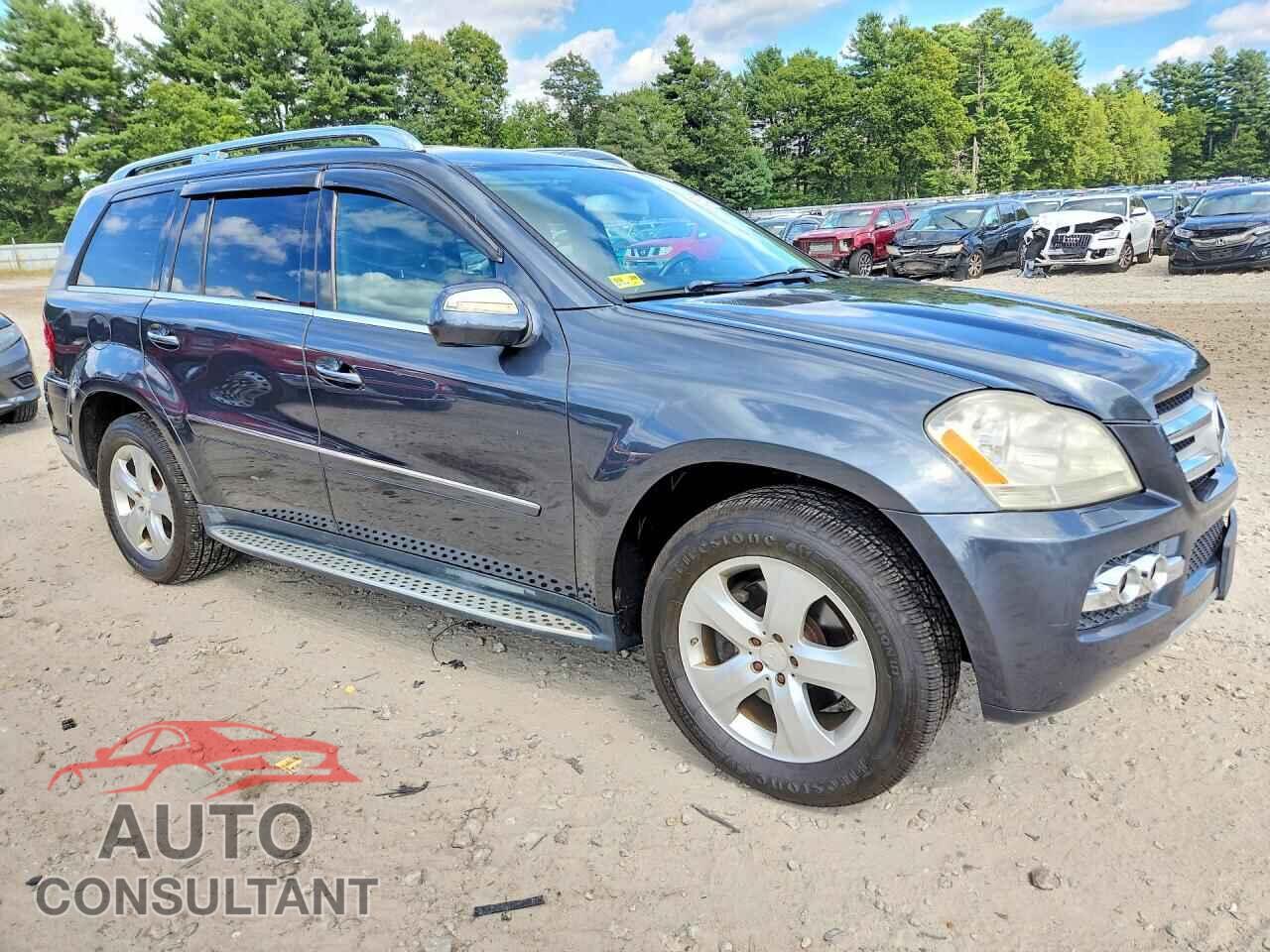 MERCEDES-BENZ GL-CLASS 2010 - 4JGBF7BE6AA619198