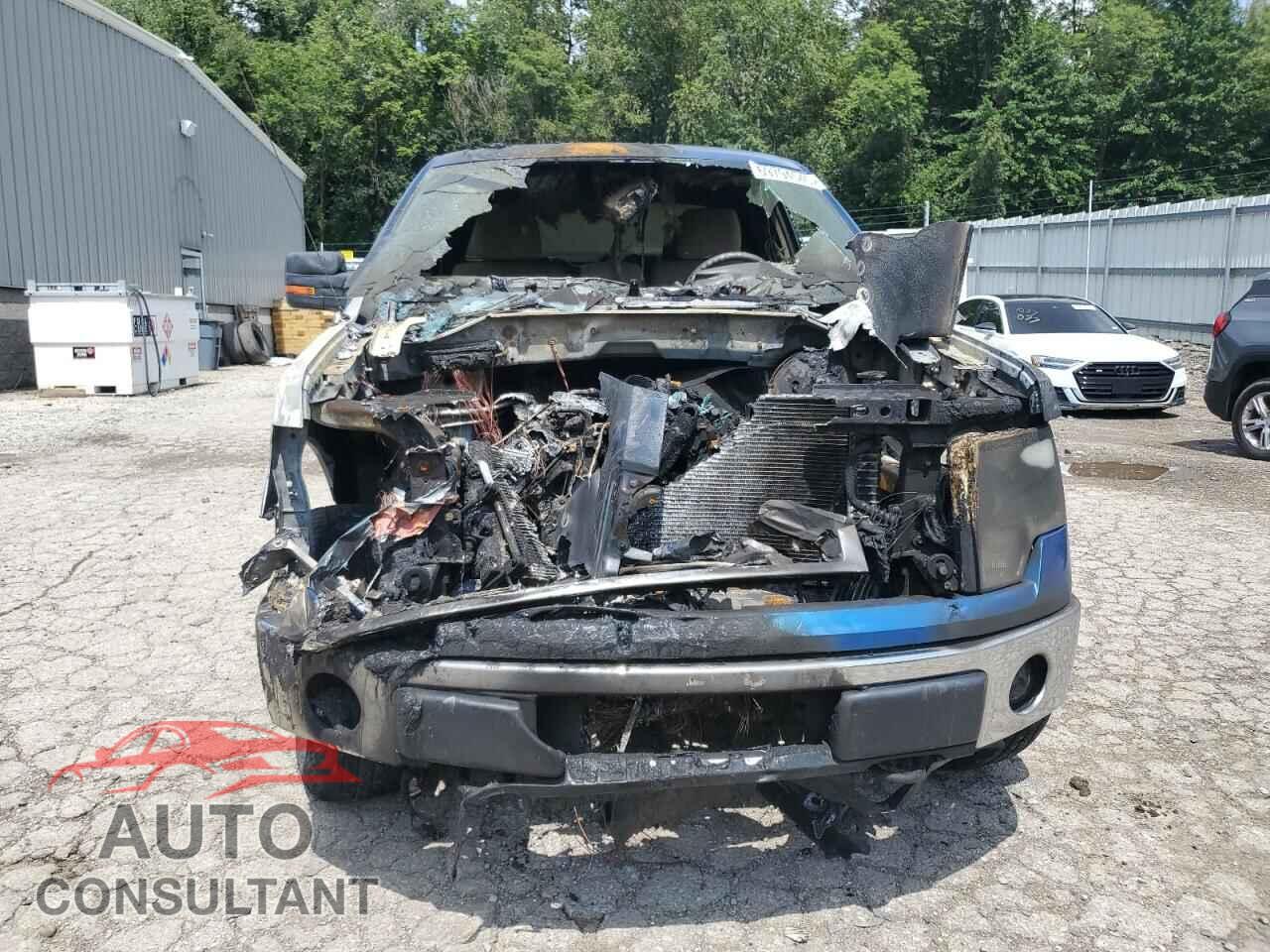 FORD F-150 2010 - 1FTFX1EV9AFA83412