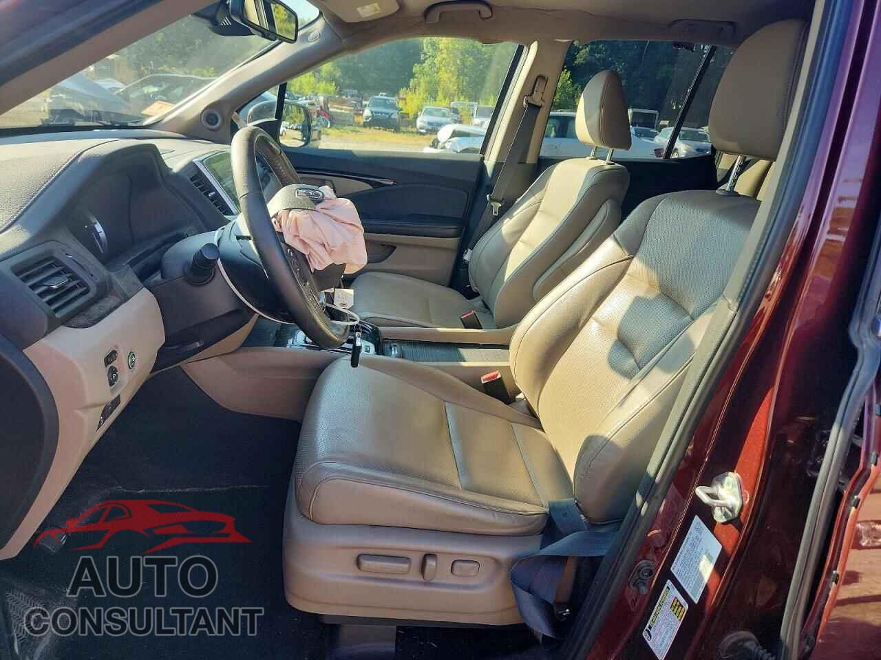 HONDA RIDGELINE 2019 - 5FPYK3F76KB034443