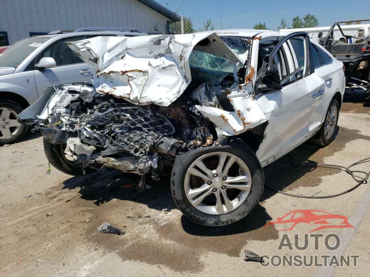 HYUNDAI SONATA 2019 - 5NPE34AF1KH771449