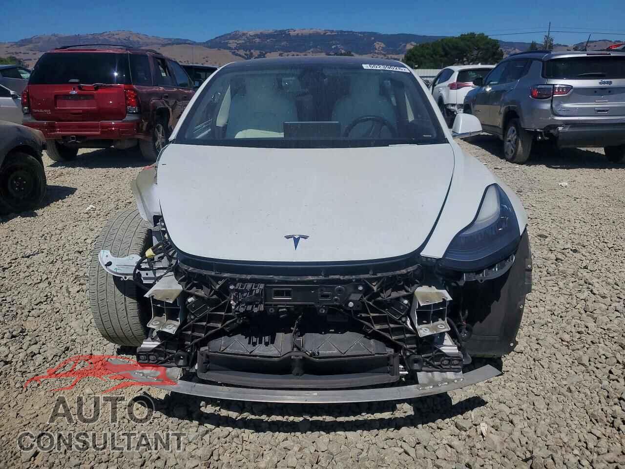 TESLA MODEL 3 2020 - 5YJ3E1EA5LF613937