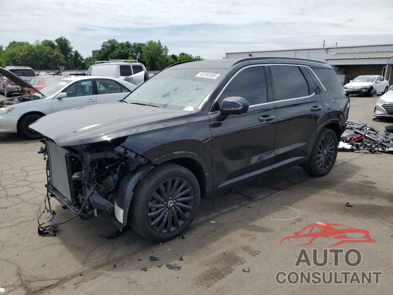 HYUNDAI PALISADE 2025 - KM8R7DGE2SU849369