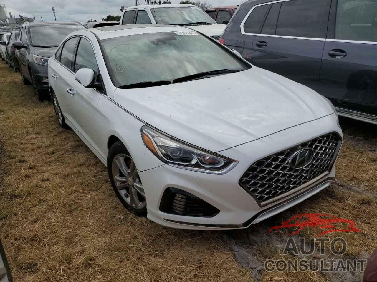 HYUNDAI SONATA 2019 - 5NPE34AF4KH764219