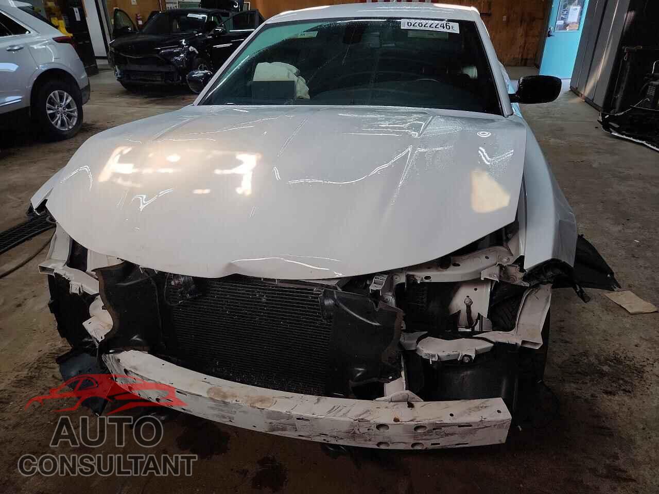 DODGE CHARGER 2019 - 2C3CDXJG9KH505320