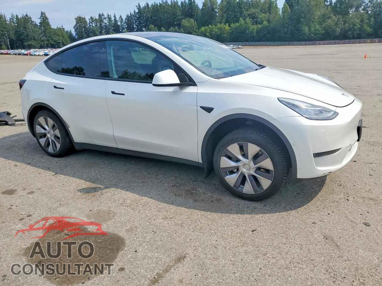 TESLA MODEL Y 2022 - 7SAYGAEE5NF329894