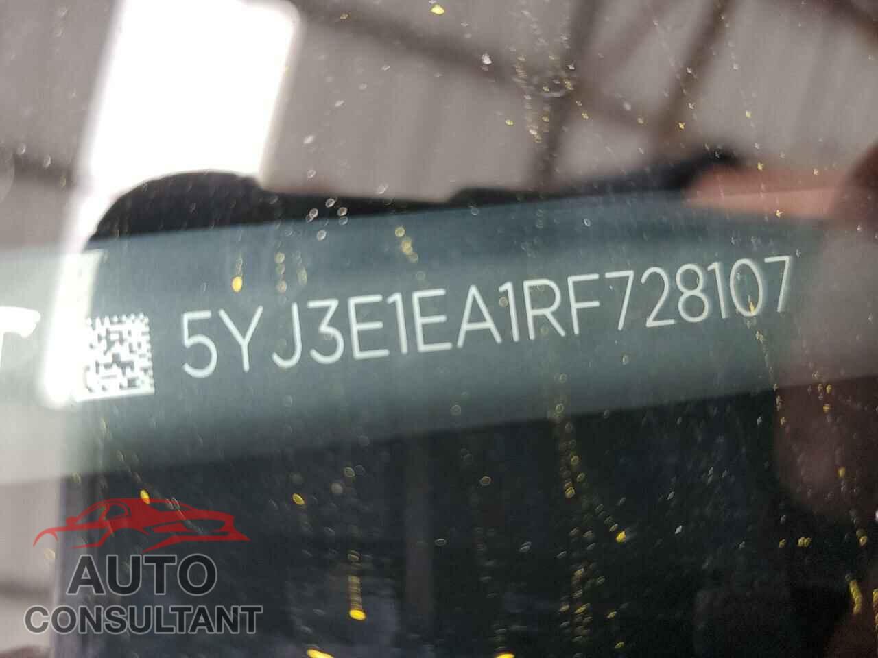 TESLA MODEL 3 2024 - 5YJ3E1EA1RF728107