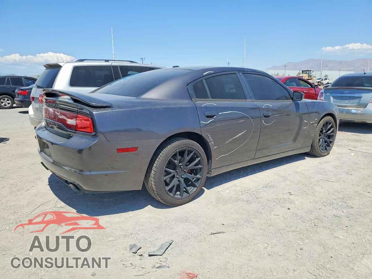 DODGE CHARGER 2014 - 2C3CDXCTXEH159308