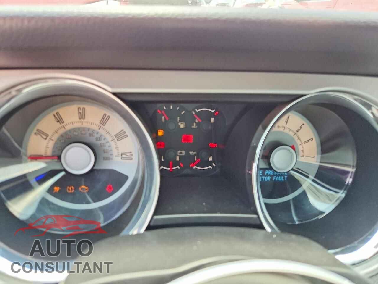 FORD MUSTANG 2010 - 1ZVBP8AN8A5101754