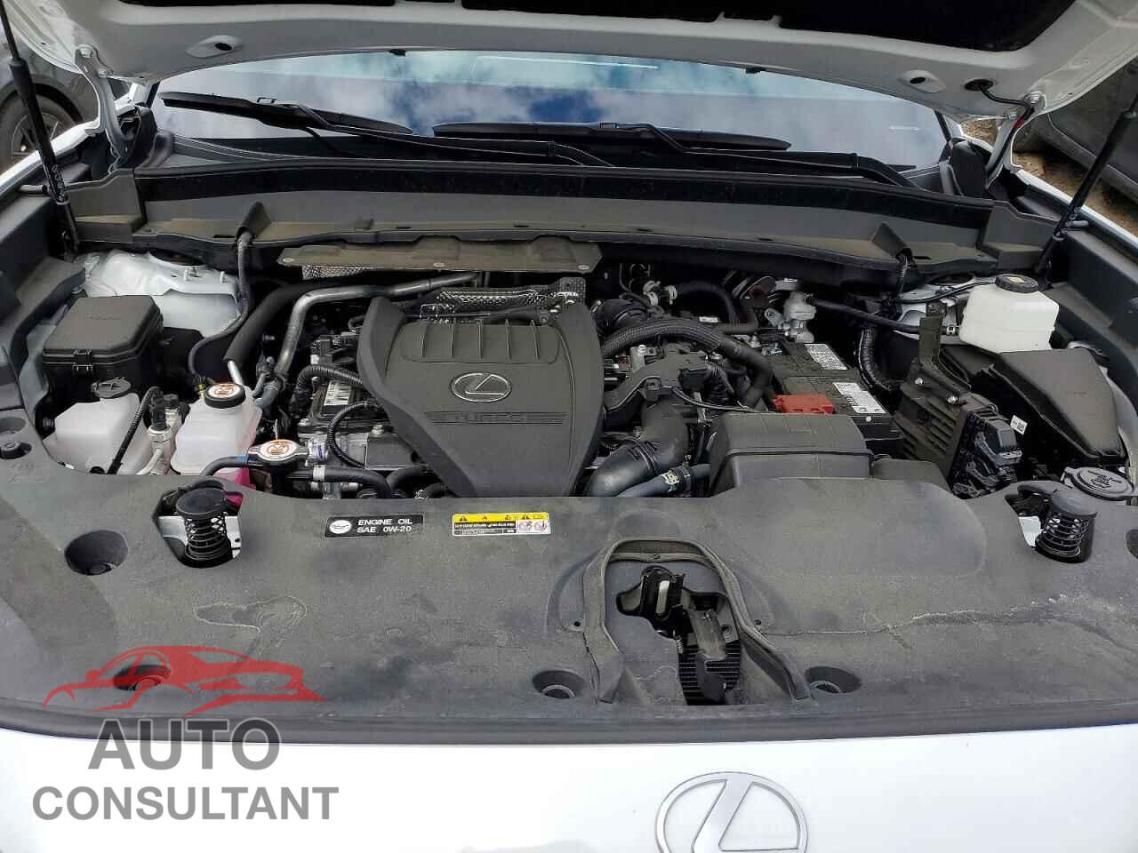 LEXUS UNKNOWN 2026 - 5TDAAAB63TS064401