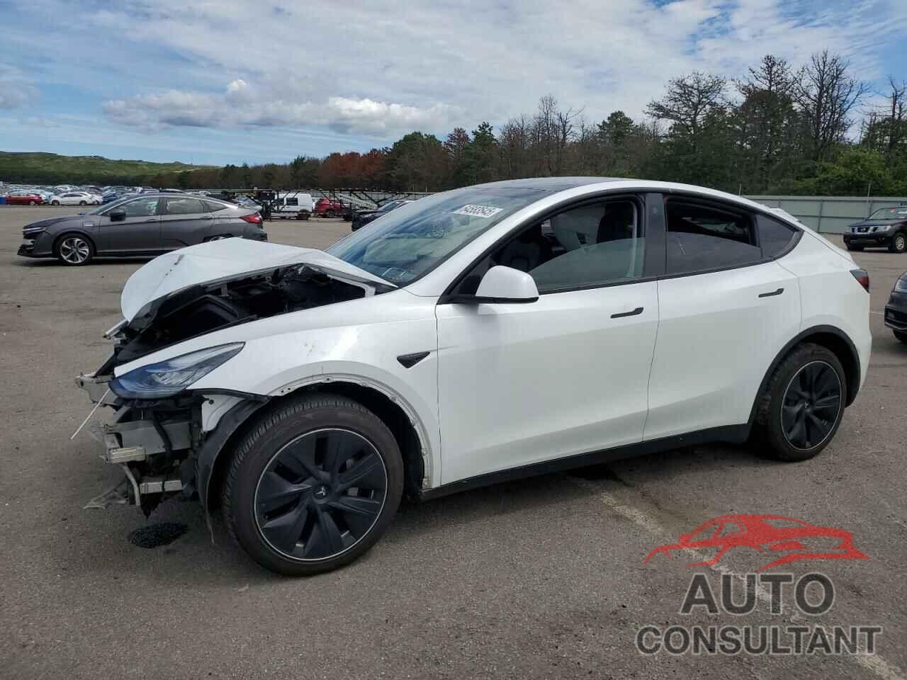 TESLA MODEL Y 2021 - 5YJYGDEE0MF190206