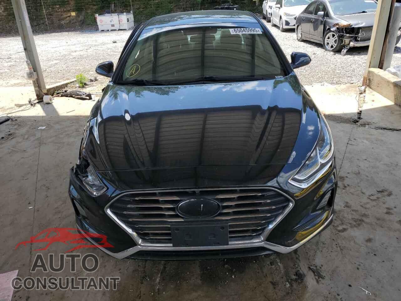 HYUNDAI SONATA 2019 - 5NPE24AF2KH736566