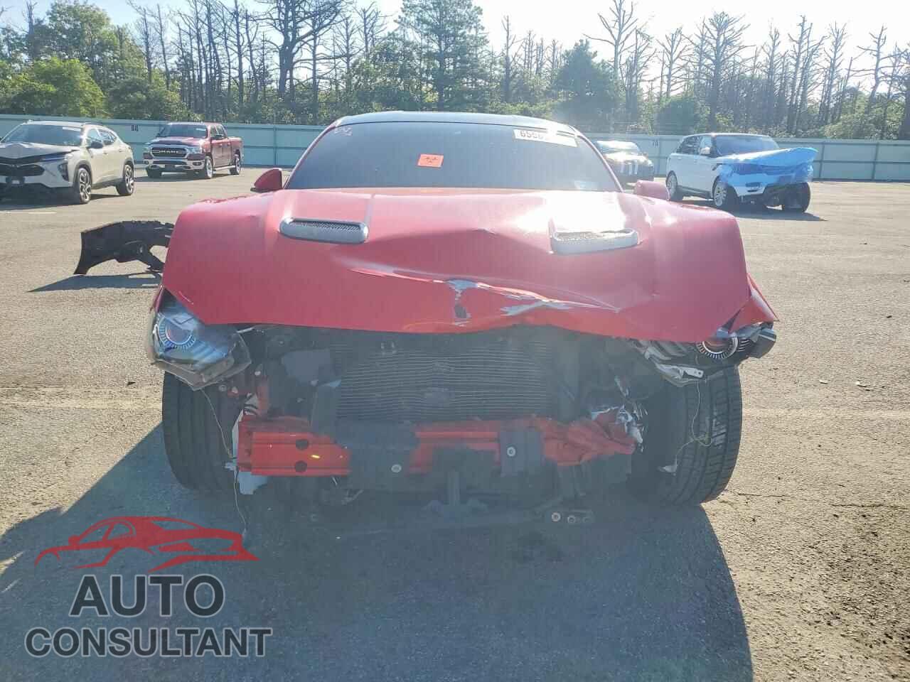 FORD MUSTANG 2019 - 1FA6P8TH5K5194218