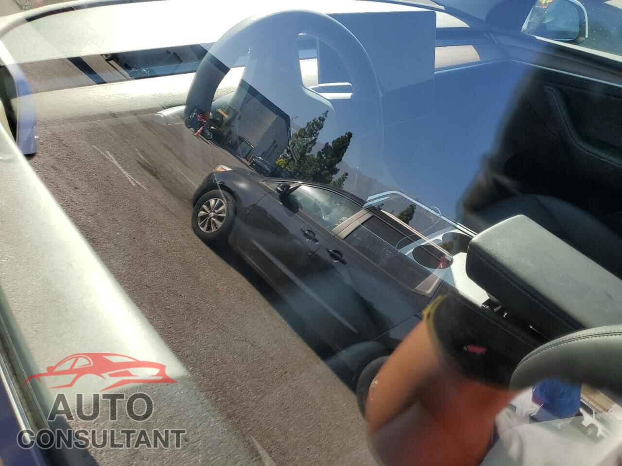 TESLA MODEL Y 2024 - 7SAYGDED1RF095591