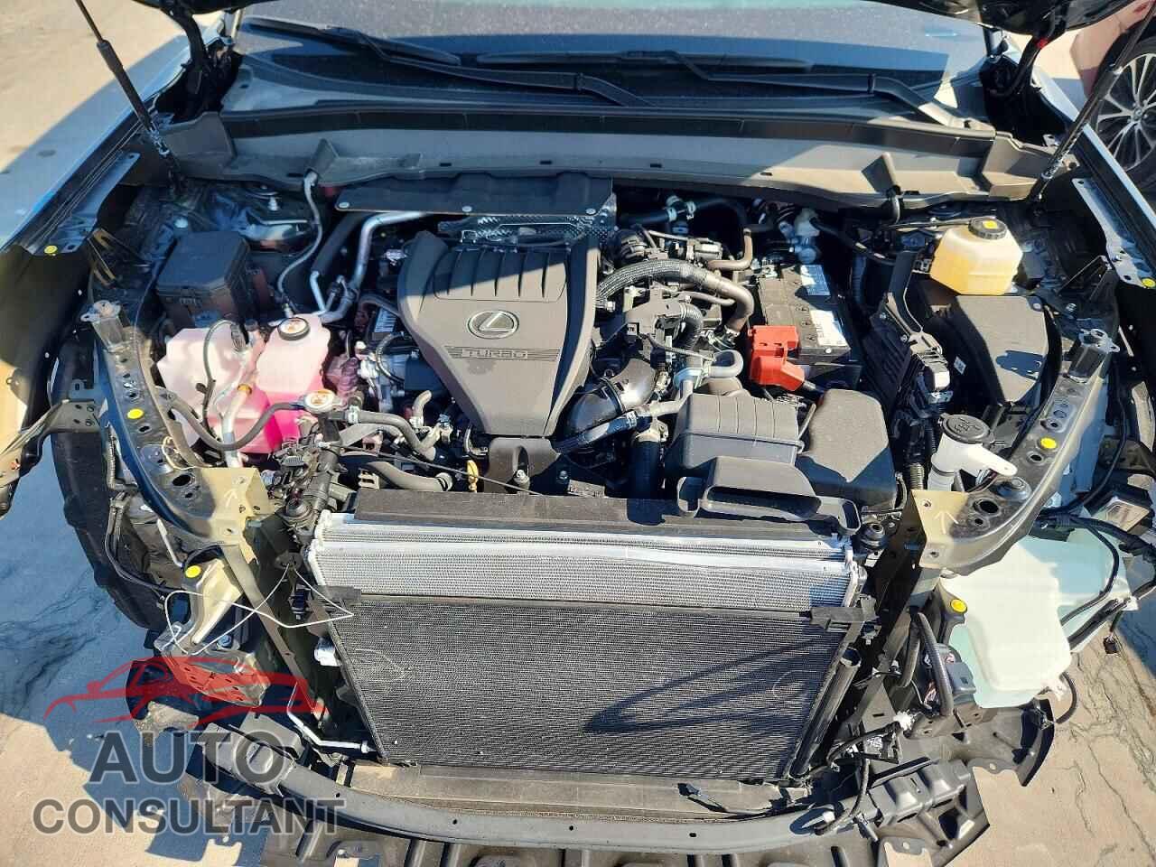 LEXUS UNKNOWN 2026 - 5TDAAAB69TS064029