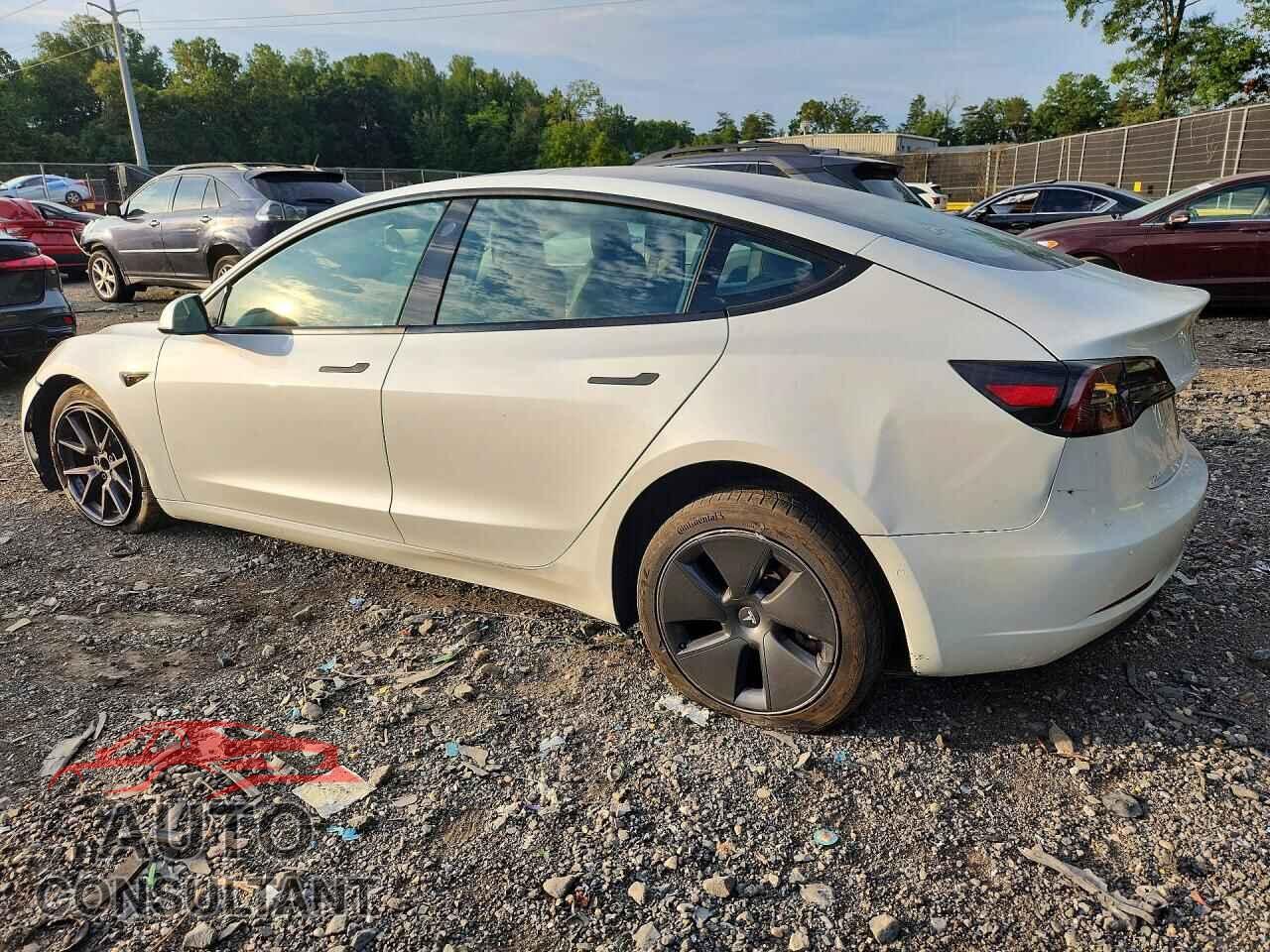 TESLA MODEL 3 2021 - 5YJ3E1EA1MF087940