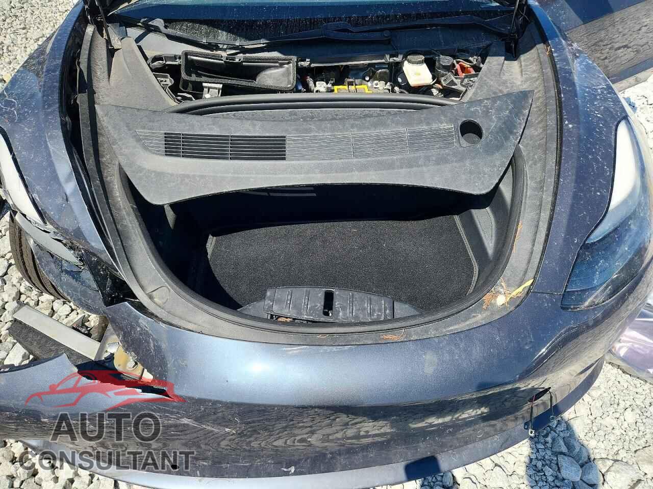 TESLA MODEL 3 2021 - 5YJ3E1EA7MF908412
