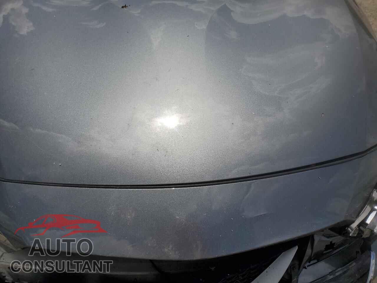 NISSAN MAXIMA 2017 - 1N4AA6AP1HC380904