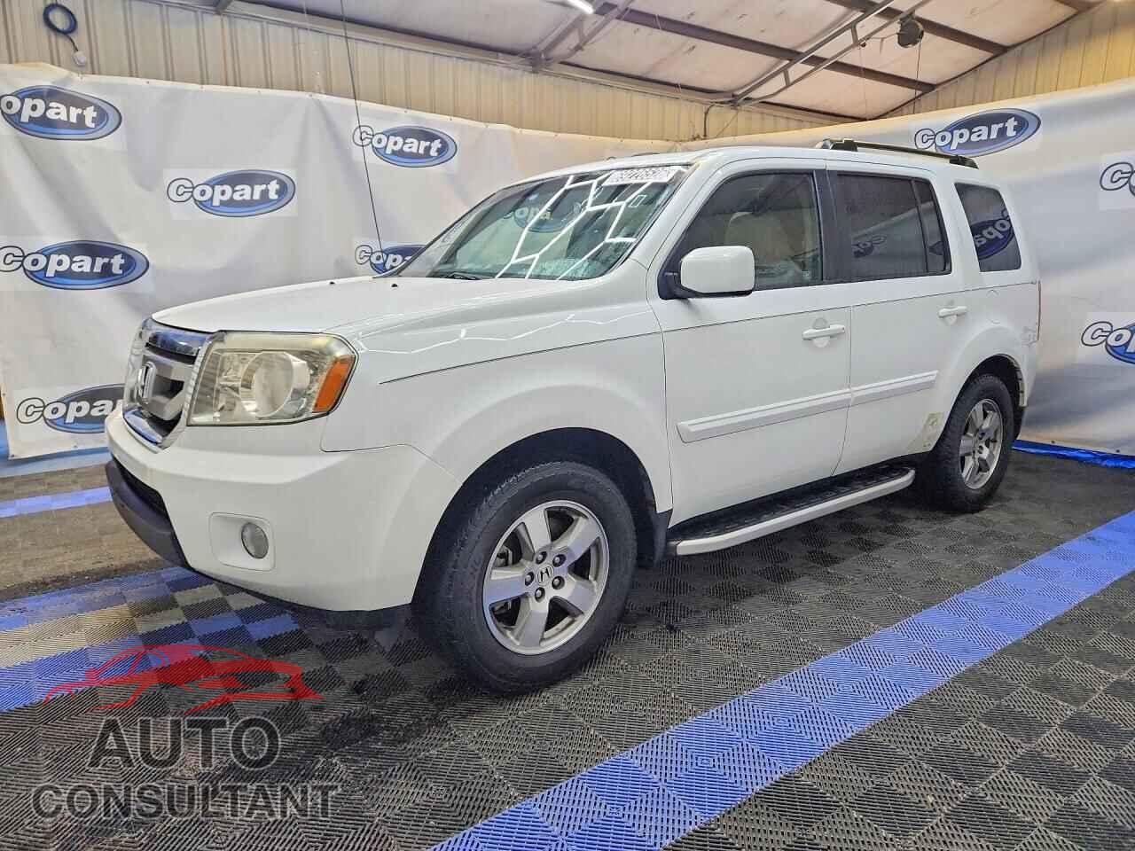 HONDA PILOT 2011 - 5FNYF3H56BB014962