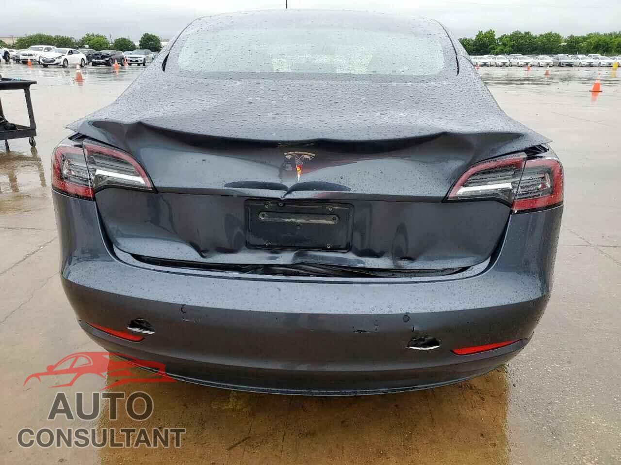 TESLA MODEL 3 2019 - 5YJ3E1EA2KF317174