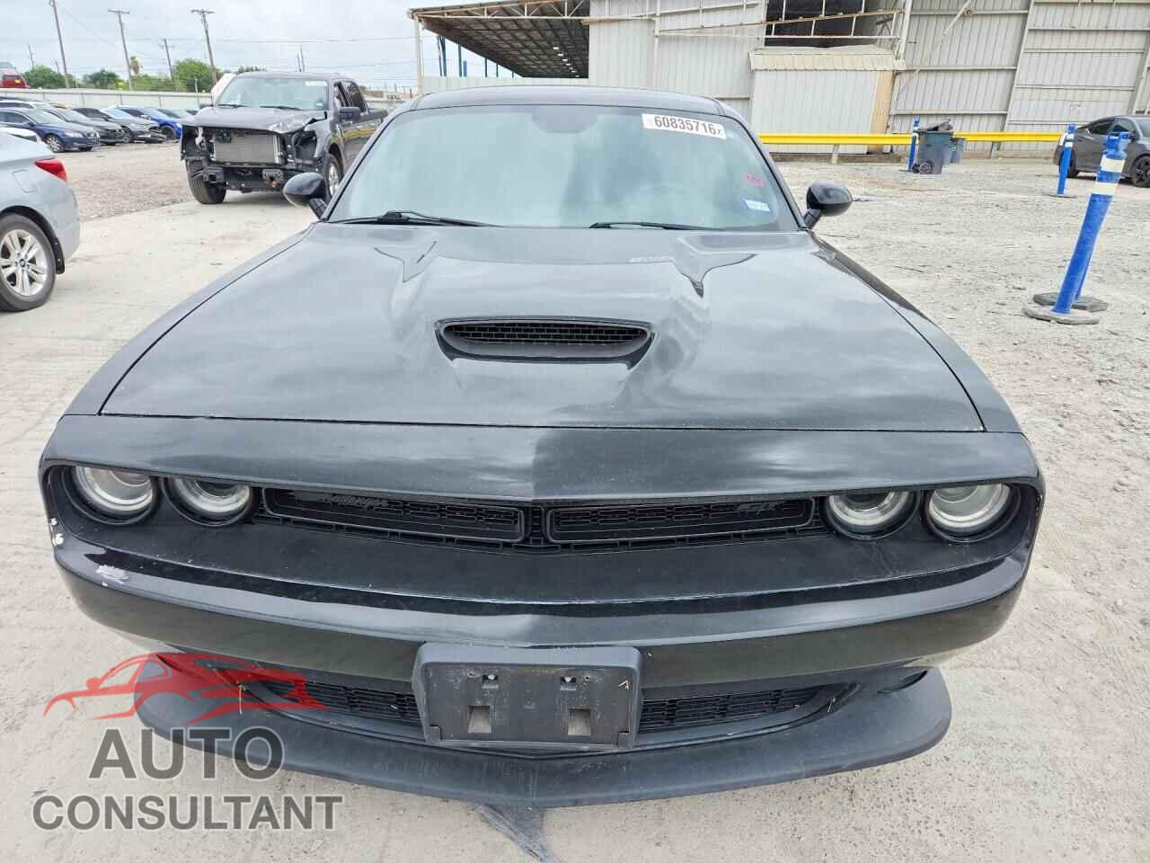 DODGE CHALLENGER 2019 - 2C3CDZJG2KH666488