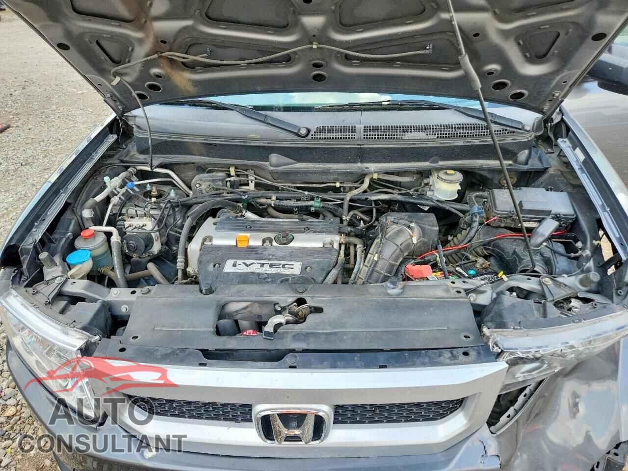 HONDA ELEMENT 2010 - 5J6YH2H32AL000856