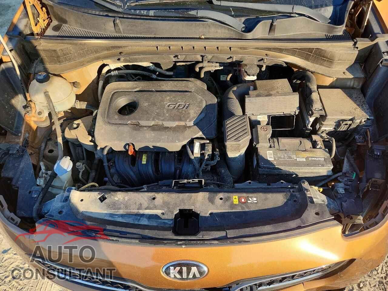 KIA SPORTAGE 2017 - KNDPM3AC9H7276435