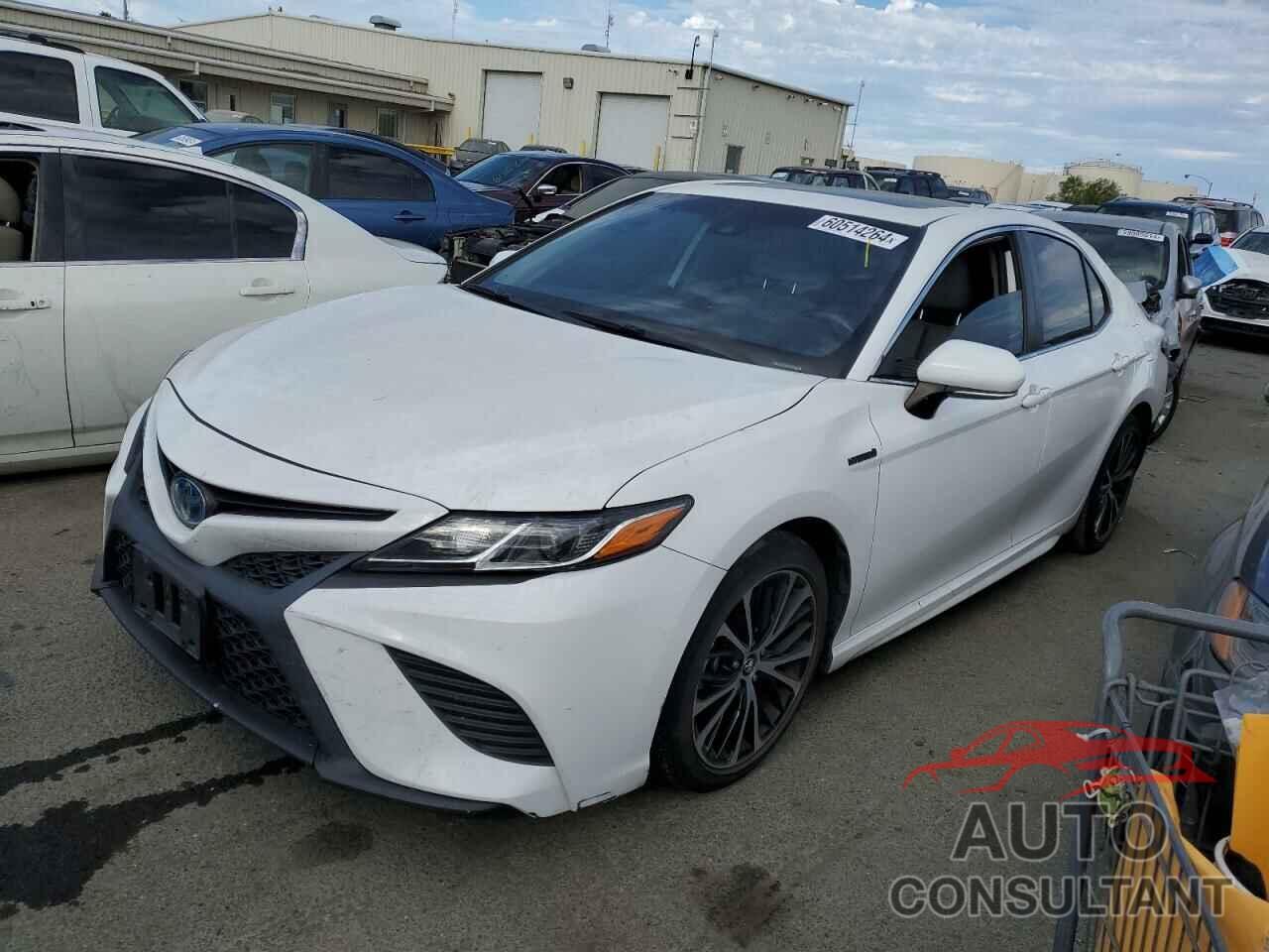TOYOTA CAMRY 2019 - 4T1B21HK0KU011165
