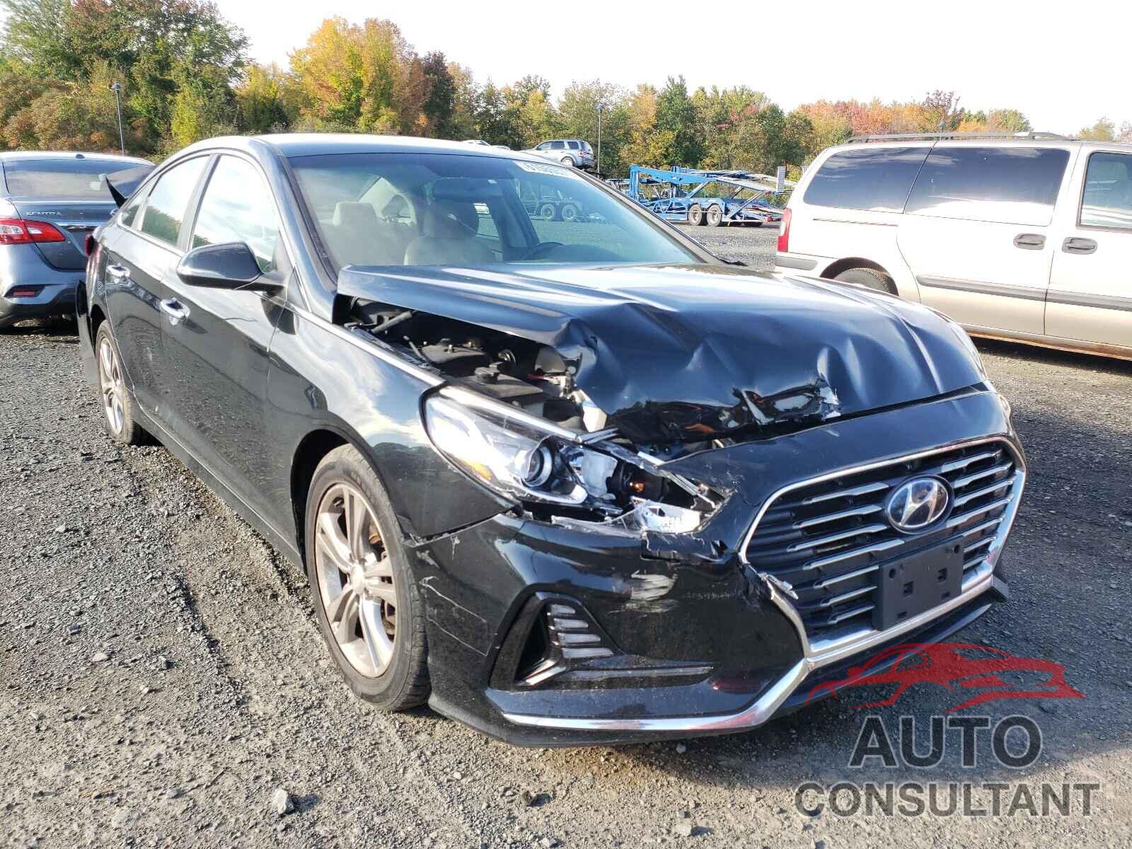 HYUNDAI SONATA 2018 - 5NPE34AF2JH665851