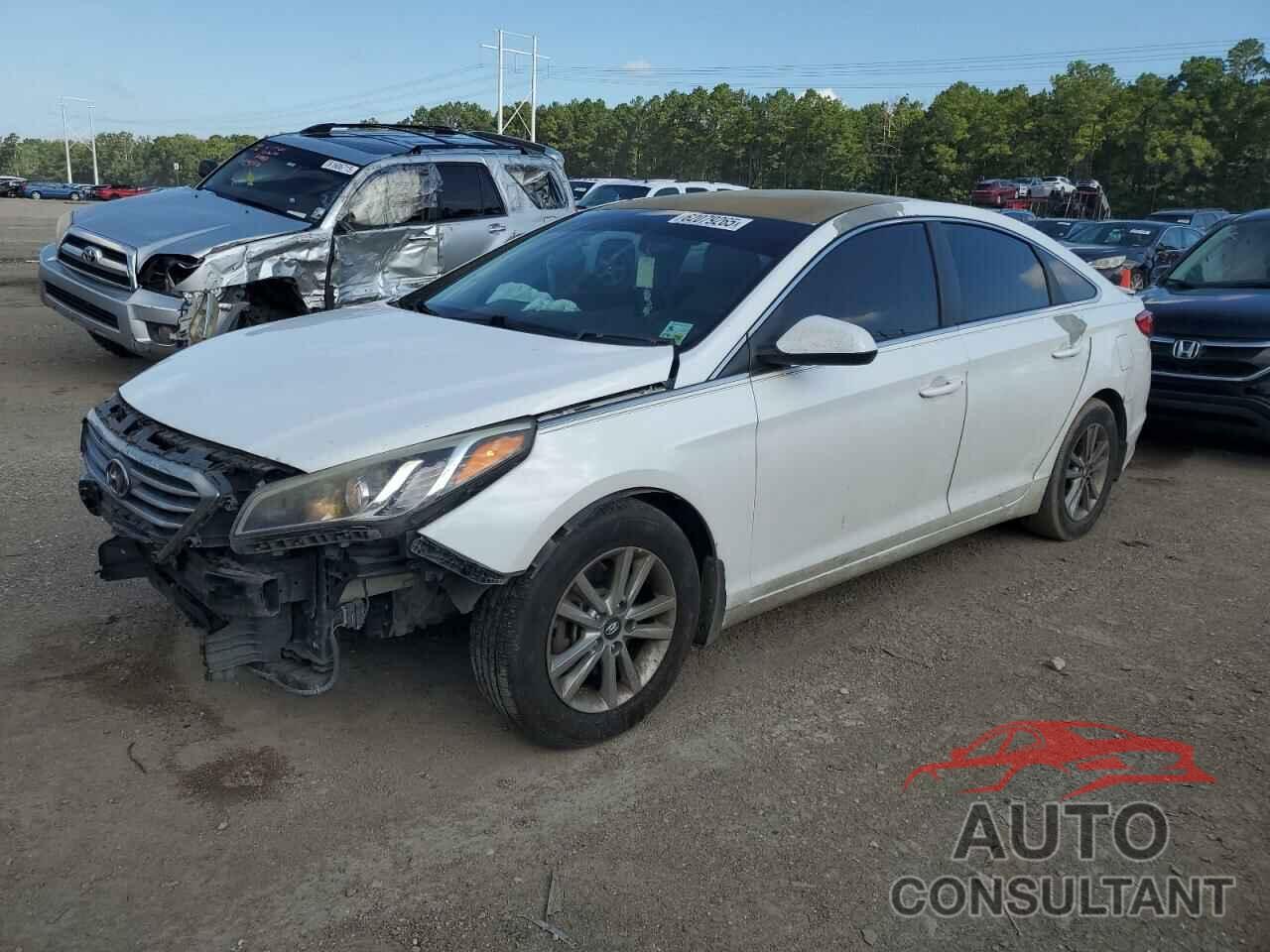 HYUNDAI SONATA 2017 - 5NPE24AF1HH444643