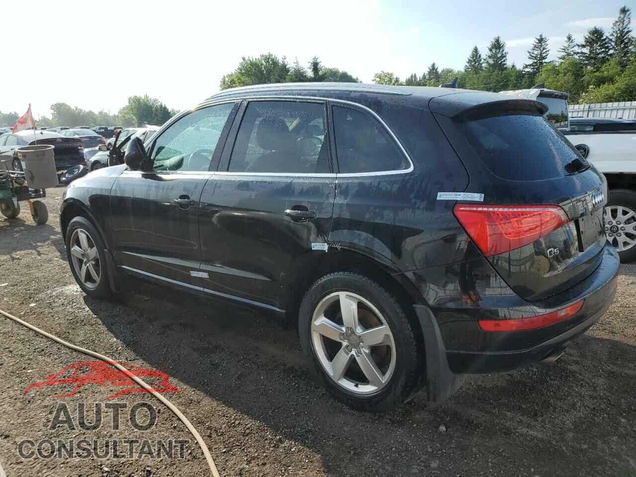 AUDI Q5 2010 - WA1LKCFP2AA095583