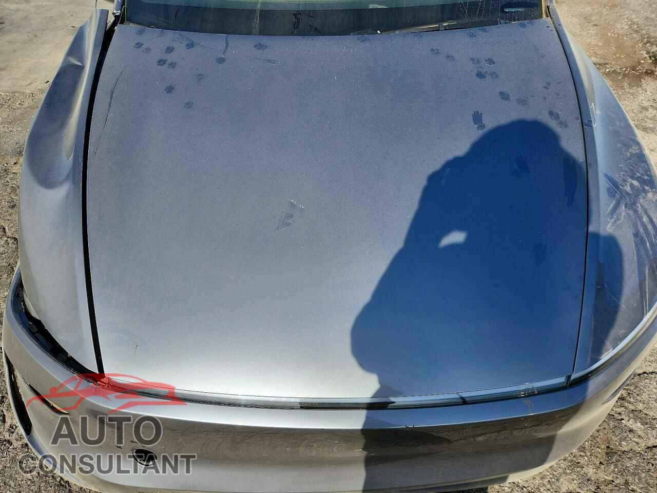 TESLA MODEL Y 2026 - 7SAYGDEE8TF368655