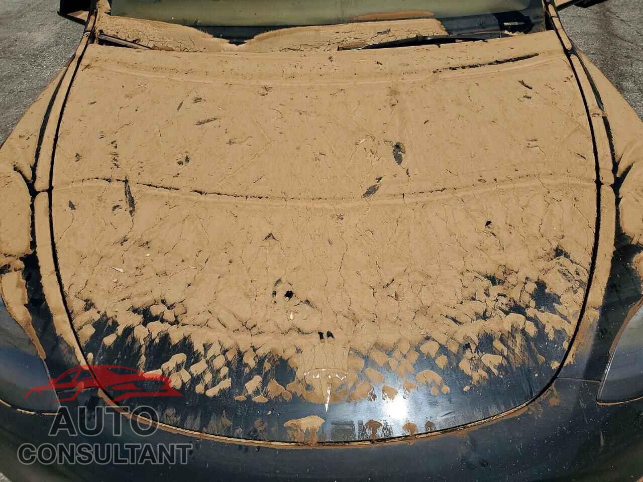 TESLA MODEL Y 2024 - 7SAYGDED2RF166149