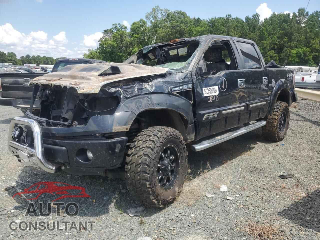 FORD F-150 2012 - 1FTFW1EF8CFC62118