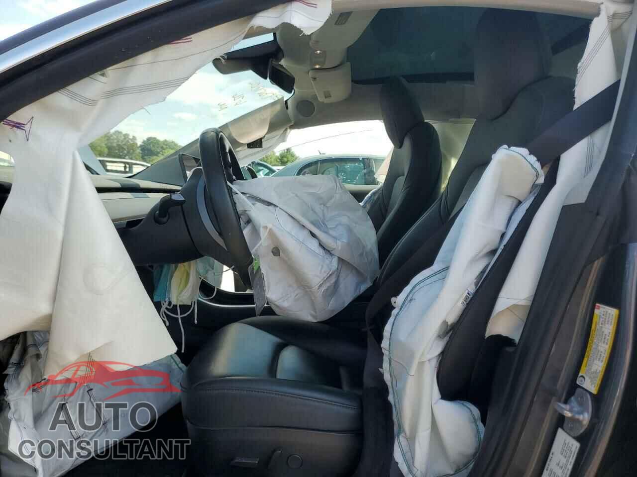 TESLA MODEL 3 2019 - 5YJ3E1EA2KF311147