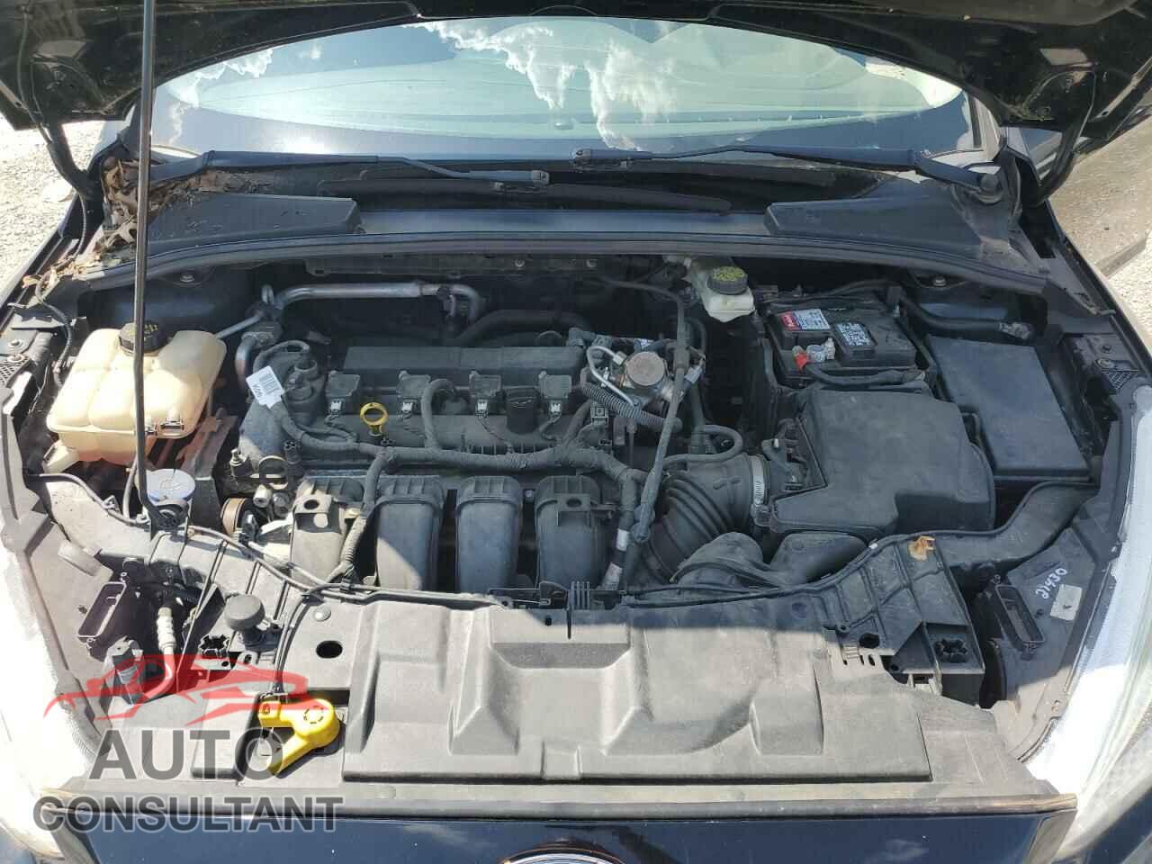 FORD FOCUS 2017 - 1FADP3F20HL302802