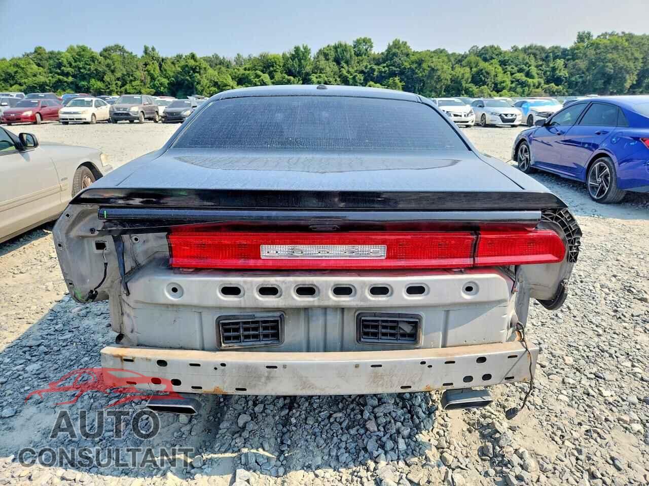 DODGE CHALLENGER 2014 - 2C3CDYAG8EH158444
