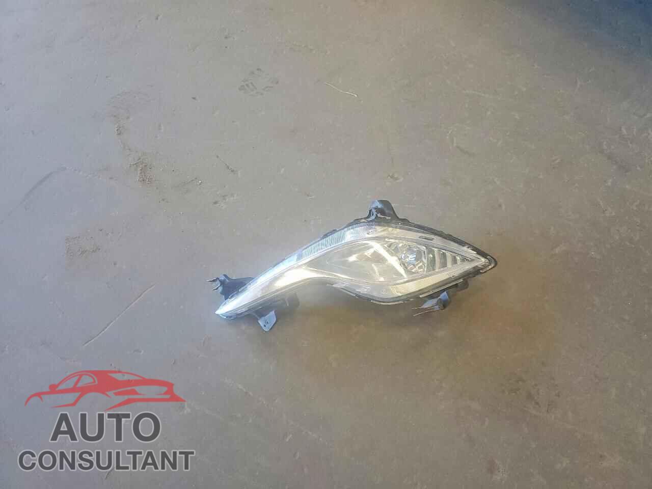 HYUNDAI SONATA 2013 - KMHEC4A49DA097281