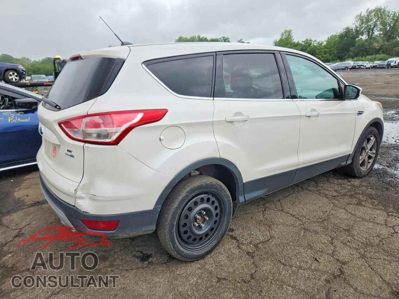 FORD ESCAPE 2014 - 1FMCU9GX2EUB11380