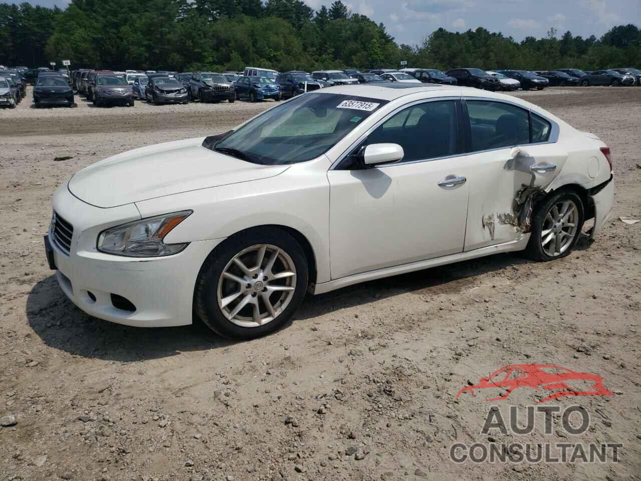 NISSAN MAXIMA 2009 - 1N4AA51E09C833601