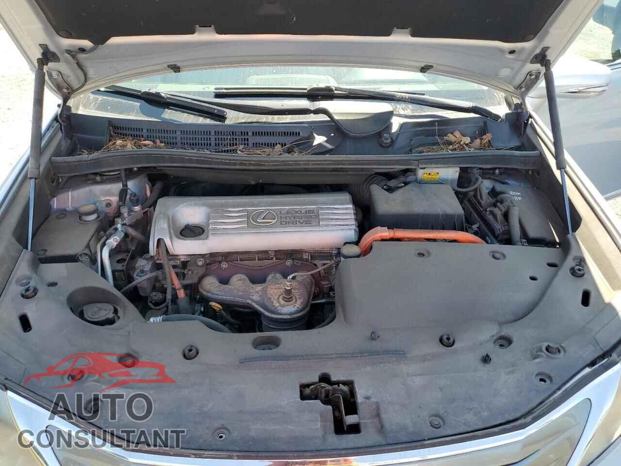 LEXUS HS 2010 - JTHBB1BA7A2014514