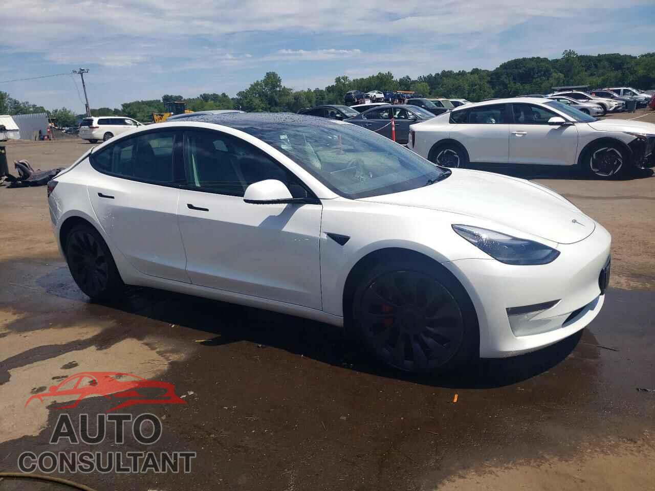 TESLA MODEL 3 2023 - 5YJ3E1EC6PF494903