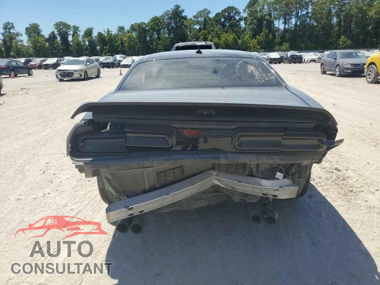 DODGE CHALLENGER 2019 - 2C3CDZFJ3KH649512
