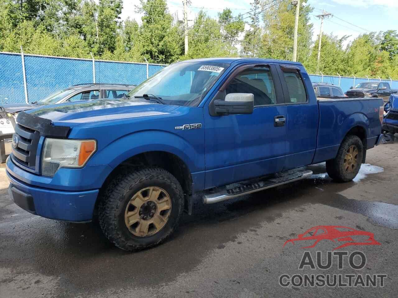 FORD F-150 2010 - 1FTEX1CW0AFA05415