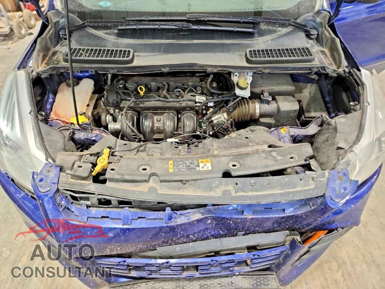 FORD ESCAPE 2014 - 1FMCU0F73EUD01136