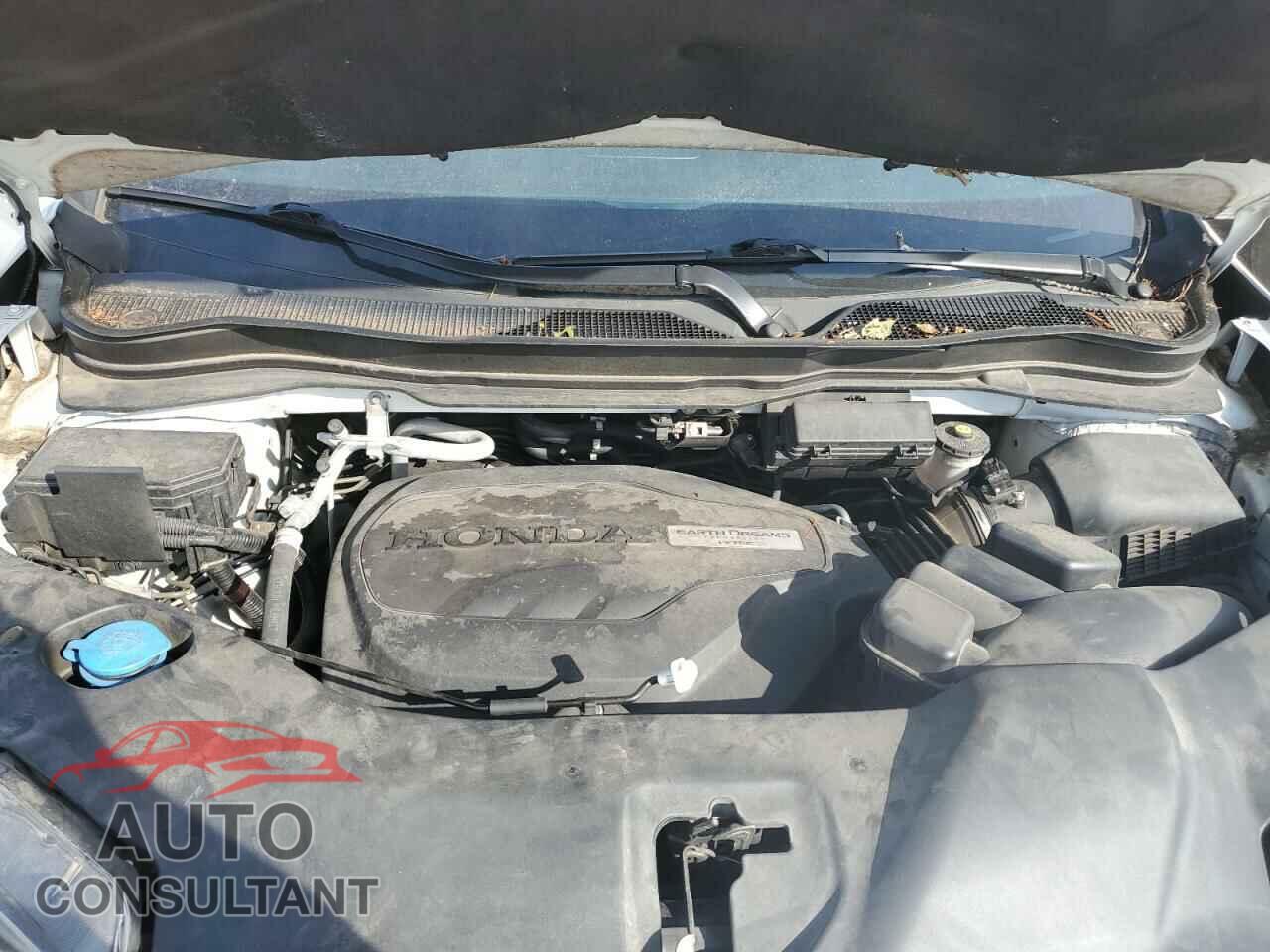HONDA PILOT 2019 - 5FNYF5H60KB011561