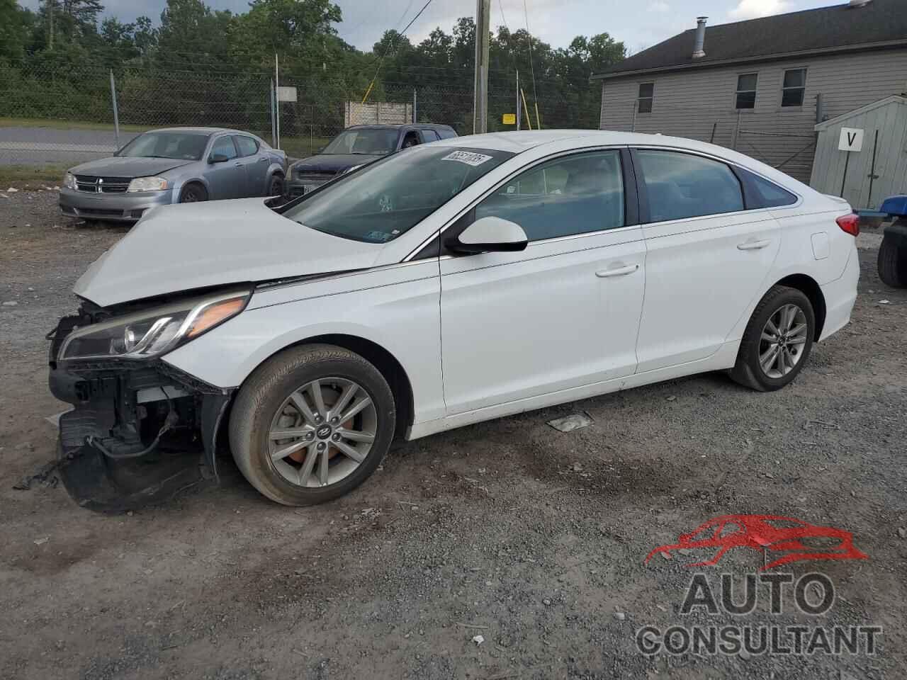 HYUNDAI SONATA 2016 - 5NPE24AF7GH394443