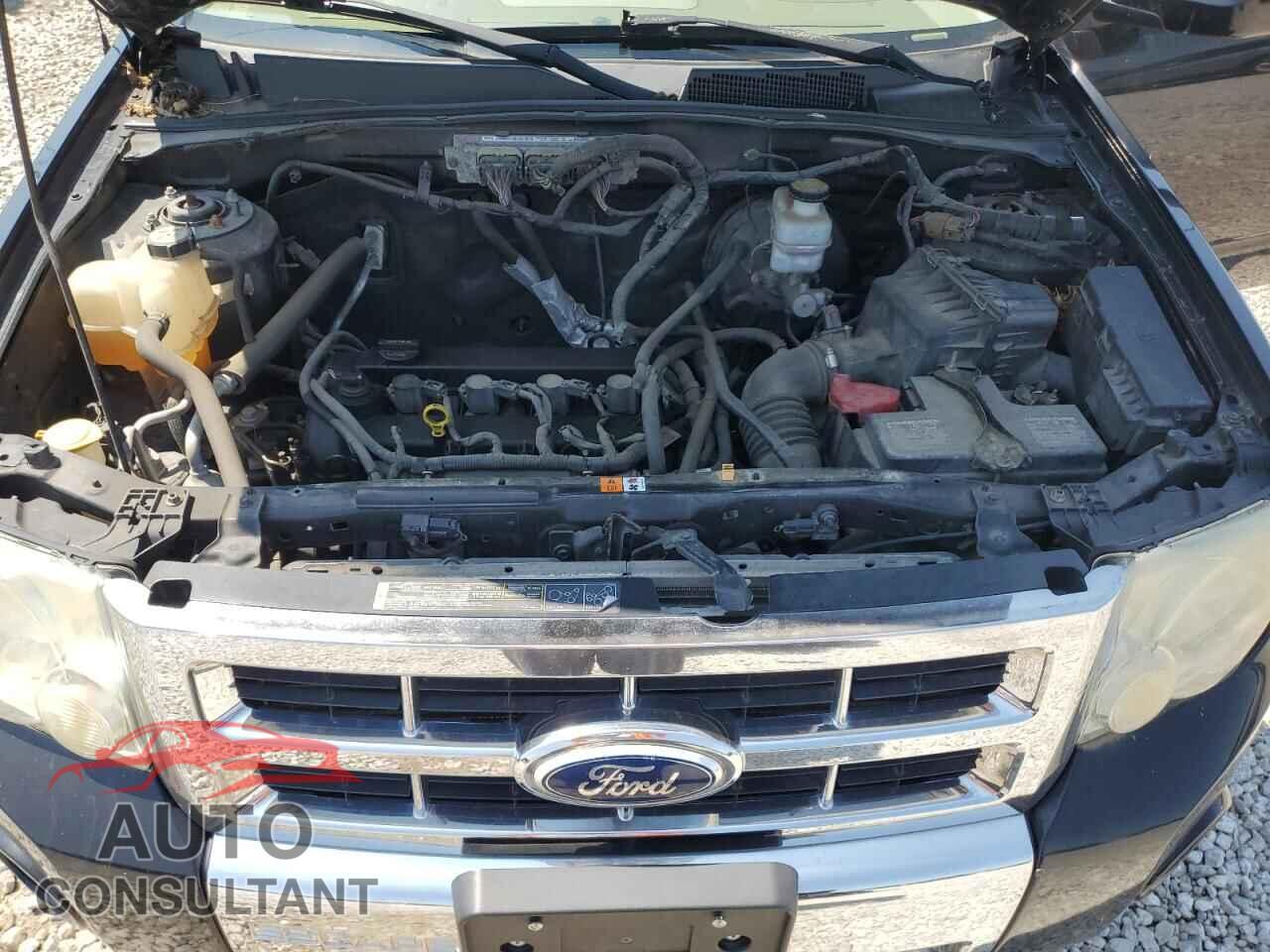 FORD ESCAPE 2010 - 1FMCU9E79AKB40898