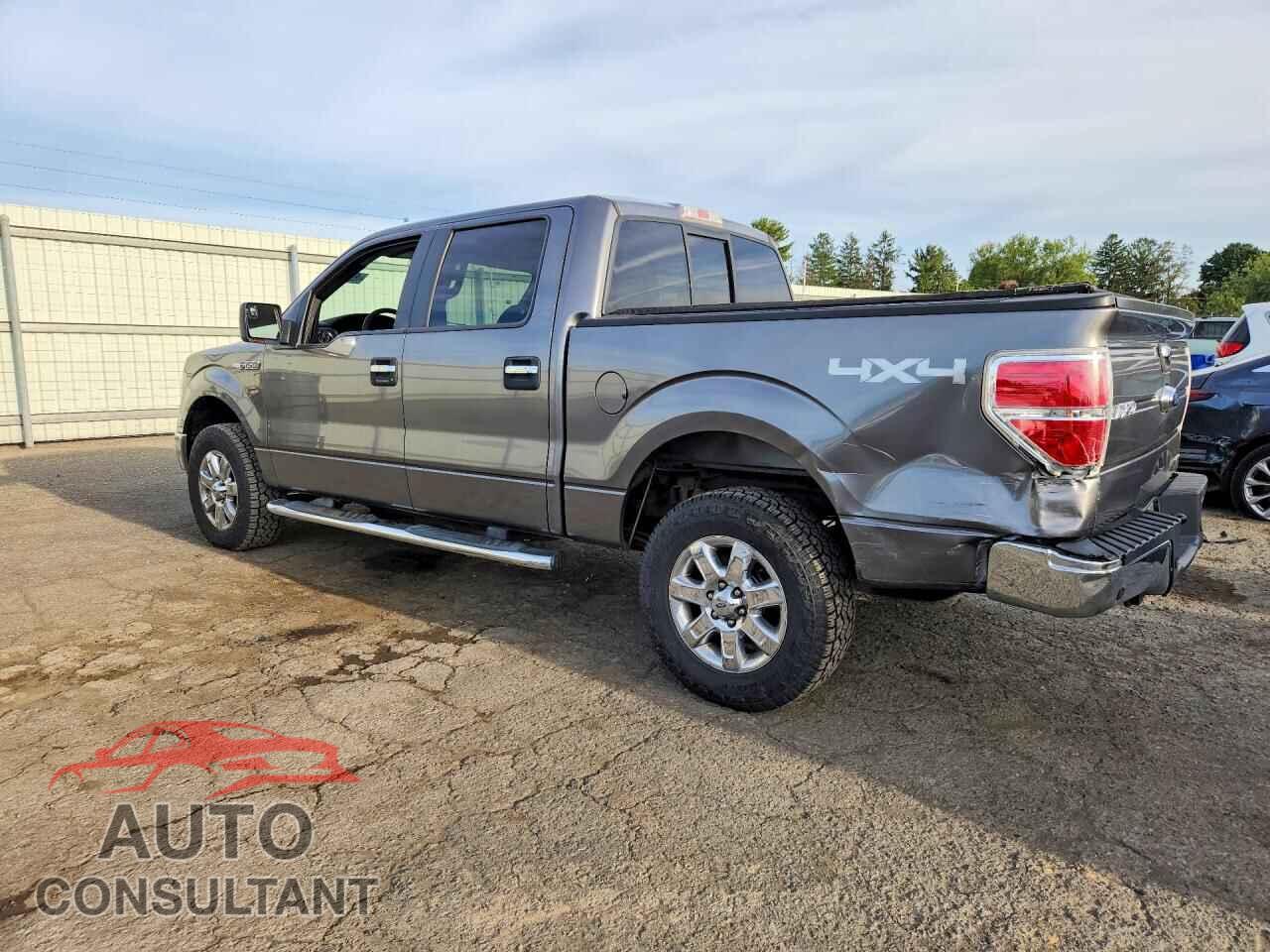 FORD F150 2013 - 1FTFW1EF6DFC61132