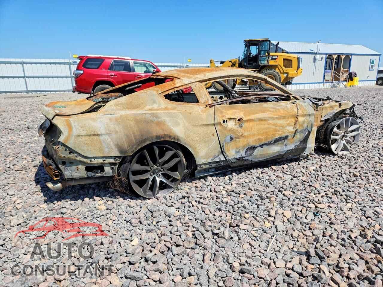 FORD MUSTANG 2015 - 1FA6P8CF3F5344251