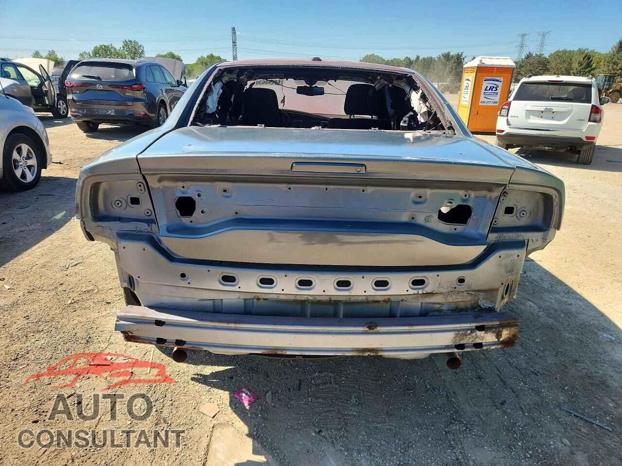 DODGE CHARGER 2014 - 2C3CDXDT2EH156417